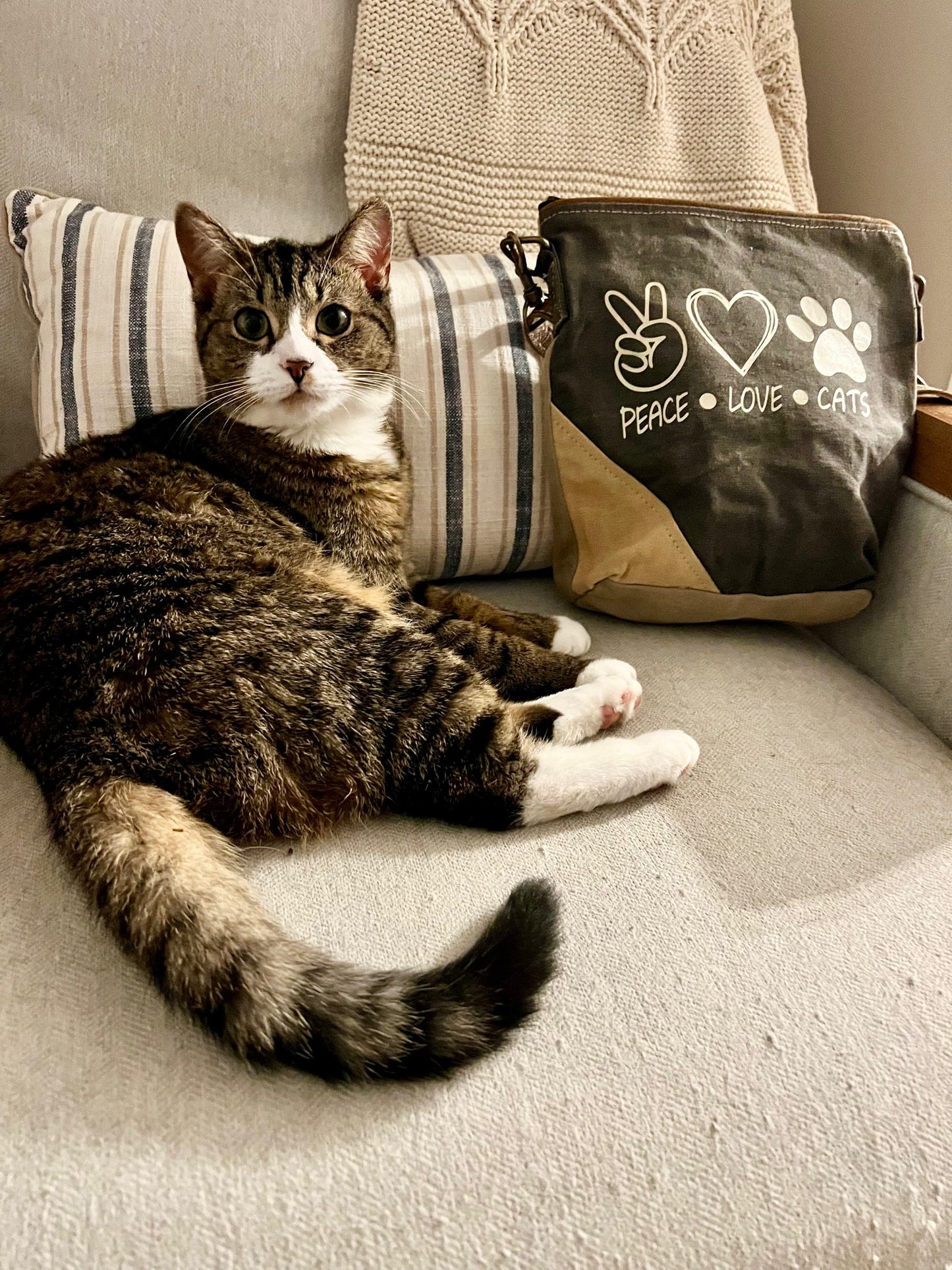 PEACE LOVE CATS Sustainable Canvas Crossbody Bag