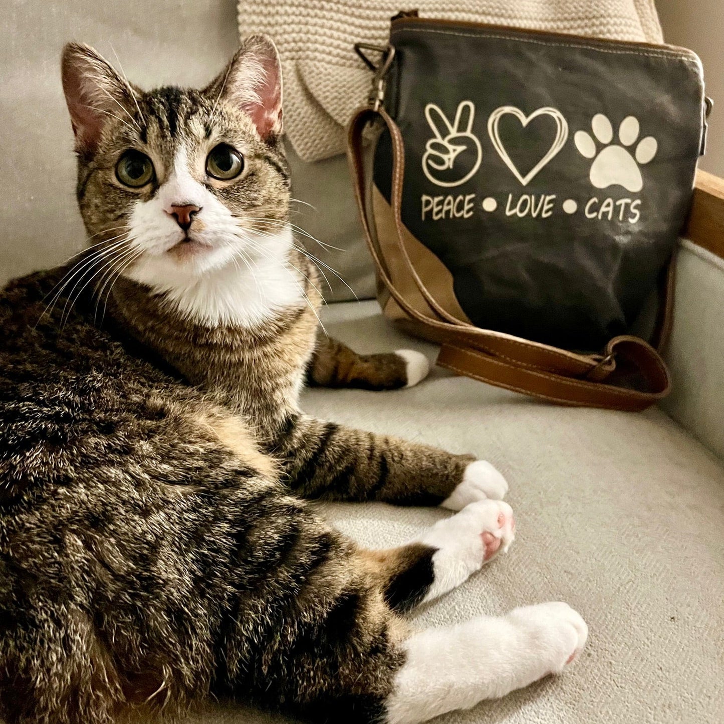 PEACE LOVE CATS Sustainable Canvas Crossbody Bag