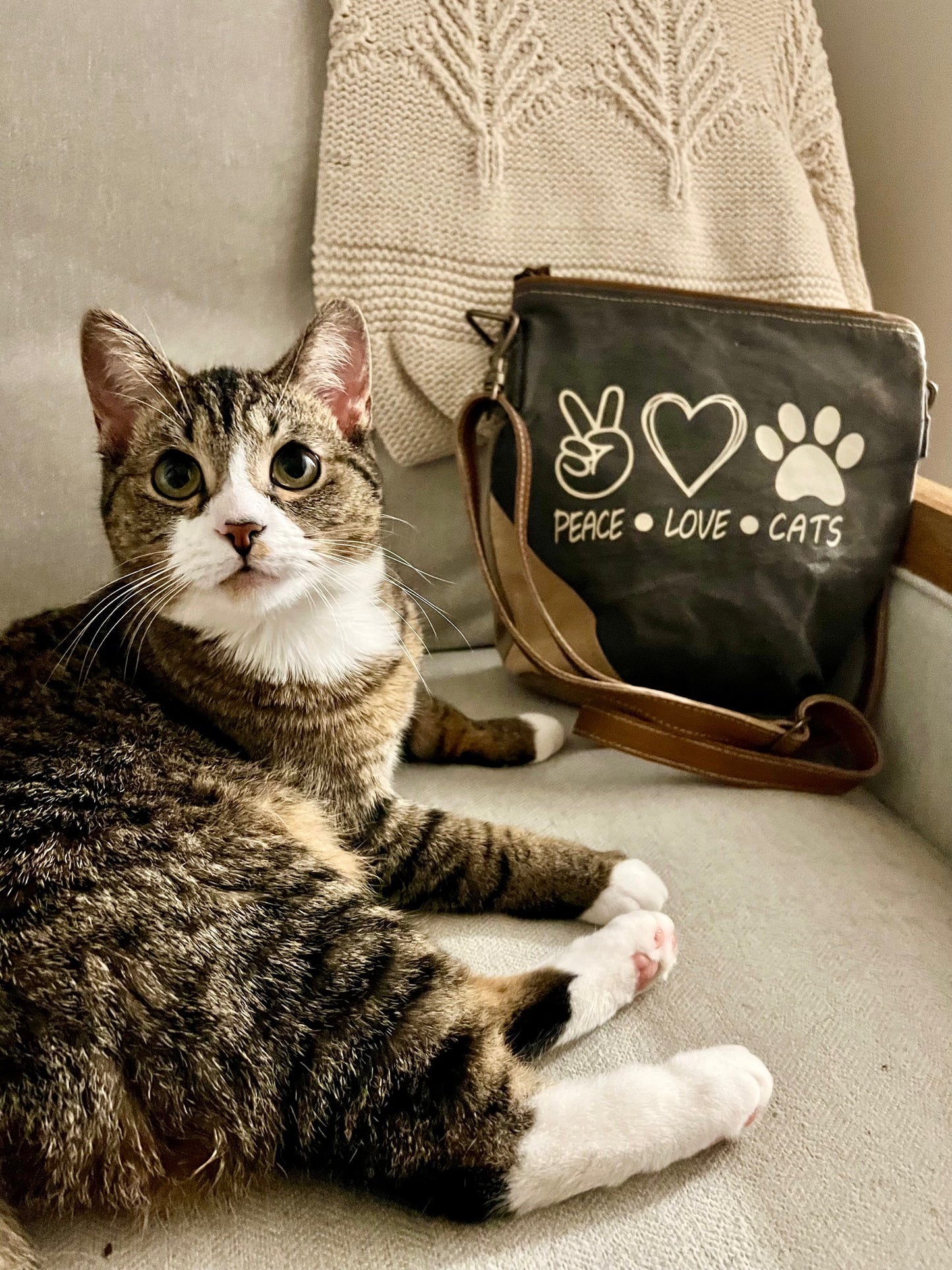PEACE LOVE CATS Sustainable Canvas Crossbody Bag